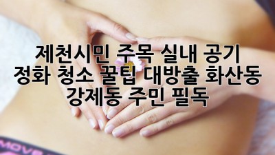 🌬️ 제천시민 주목! 실내 공기 정화 청소 꿀팁 대방출! (화산동, 강제동 주민 필독!)